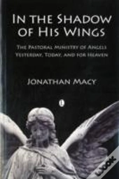 In The Shadow Of His Wings