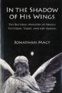 In The Shadow Of His Wings - Preview