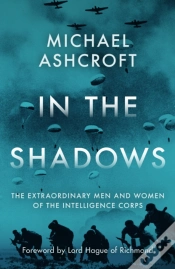 Capa do artigo In The Shadows