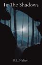 In The Shadows - Preview