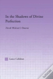 Capa do artigo In The Shadows Of Divine Perfection
