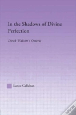 Capa do artigo In The Shadows Of Divine Perfection
