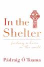 In The Shelter - Preview