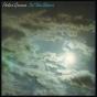 In the Skies - Vinil - Preview
