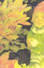In The Small Of My Backyard - Preview