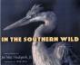 In The Southern Wild - Preview