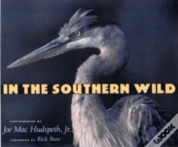 Capa do artigo In The Southern Wild
