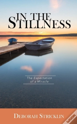 Capa do artigo In The Stillness