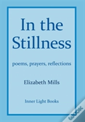 Capa do artigo In The Stillness