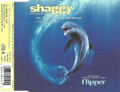 Capa do artigo In The Summertime (