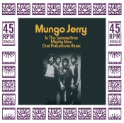 Capa do artigo In the Summertime - Vinil