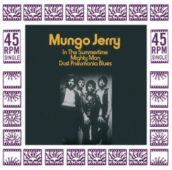 Capa do artigo In the Summertime - Vinil