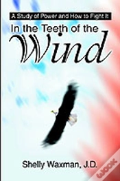 Capa do artigo In The Teeth Of The Wind