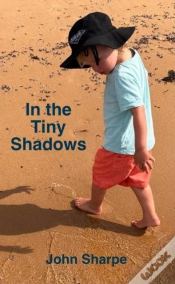 Capa do artigo In The Tiny Shadows