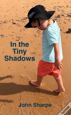Capa do artigo In The Tiny Shadows