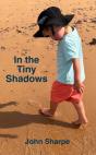 In The Tiny Shadows - Preview