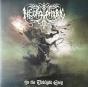 In The Twilight Grey - Vinil - Preview