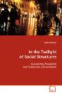 In The Twilight Of Social Structures - Preview