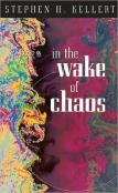 In The Wake Of Chaos