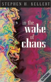 Capa do artigo In The Wake Of Chaos