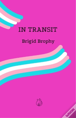 Capa do artigo In Transit