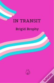 Capa do artigo In Transit