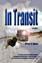 Capa do artigo In Transit