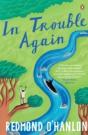 In Trouble Again - Preview