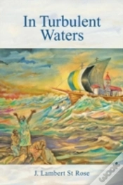 Capa do artigo In Turbulent Waters