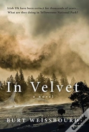 Capa do artigo In Velvet