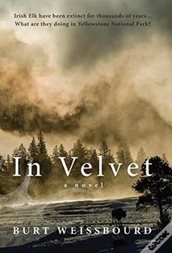 Capa do artigo In Velvet