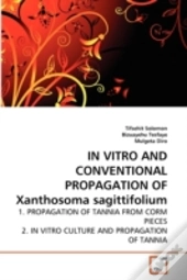 In Vitro And Conventional Propagation Of