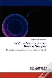 In Vitro Maturation Of Bovine Oocytes