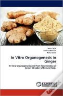 In Vitro Organogenesis In Ginger