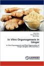 In Vitro Organogenesis In Ginger - Preview