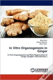 In Vitro Organogenesis In Ginger