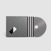 Capa do artigo In Waves - CD