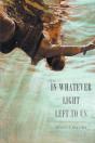 In Whatever Light Left To Us - Preview