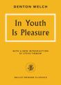 In Youth Is Pleasure - Preview