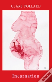Capa do artigo Incarnation