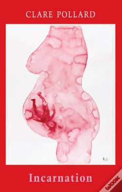 Capa do artigo Incarnation