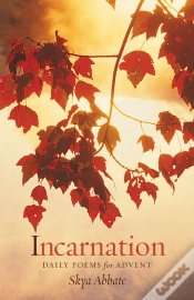 Capa do artigo Incarnation