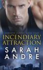 Incendiary Attraction - Preview