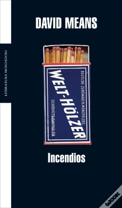 Capa do artigo Incendios