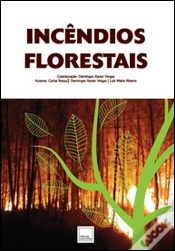 Capa do artigo Incêndios Florestais