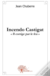 Capa do artigo Incendo Castigat