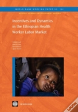 Capa do artigo Incentives And Dynamics In The Ethiopian Health Worker Labor Market