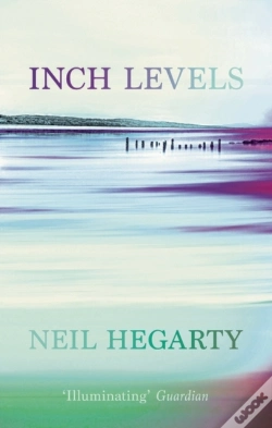 Capa do artigo Inch Level