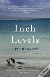 Capa do artigo Inch Levels