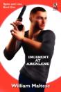 Incident At Aberlene - Preview